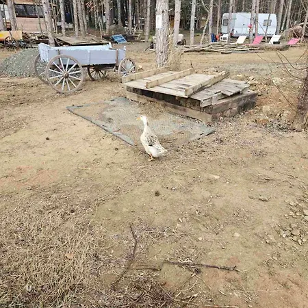 шангри ла-3, плаж градина Campingplads